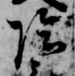 位置定マレル陰