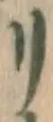 字リ
