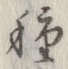 已定位種