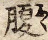 腹 위치 확인됨