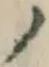 字ノ