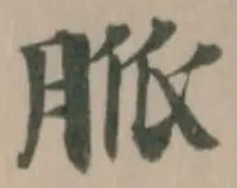 脈の位置