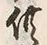 文字供