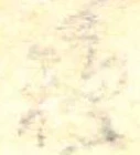 糖 위치 확인됨