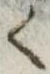 位置 確認된 く