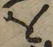 𛄜 위치 확인됨