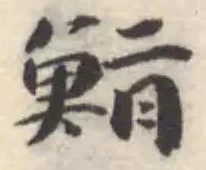 鮨の位置