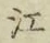 文字江