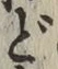 文字 ど