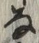 글자 な