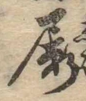 屡 위치 확인됨