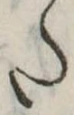 𛁠 위치 확인됨