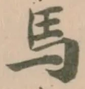 馬 위치 확인됨
