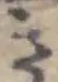 Đã định vị 𛁠
