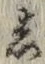 Character し