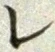 글자 レ