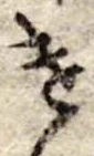 遣 위치 확인됨