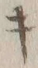 글자 キ