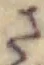 글자 さ