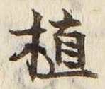 글자 植