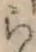 글자 ら