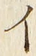 「イ」字