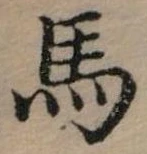 馬 위치 확인됨