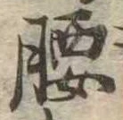 腰 위치 확인됨