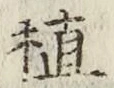 文字植
