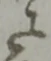 位置定マレル未定