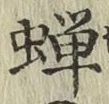 Character 蝉