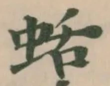 蛞の位置
