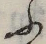 Đã định vị ふ