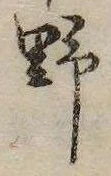 已定位野