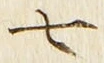 “七”字