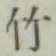 字竹