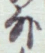 글자 外