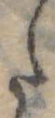 Đã định vị 𛁠