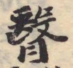 瞖 위치 확인됨