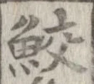 鮫 위치 확인됨