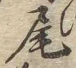 尾 위치 확인됨