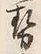 글자 勢