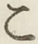 글자 こ