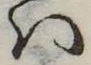 Đã định vị 𛂞