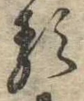 已定位𛃽