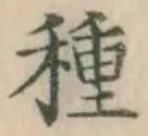 글자 種