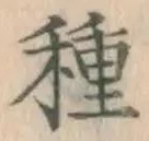 글자 種
