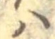 𛂞 위치 확인됨