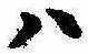 Đã định vị 𛂞