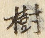 글자 樹